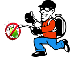 LULU Pest Control & Cleaning